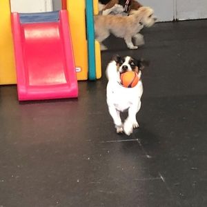 Meet your Posher, Raquel